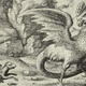 Illustration for article titled How to hunt a Basilisk and live to tell the tale
